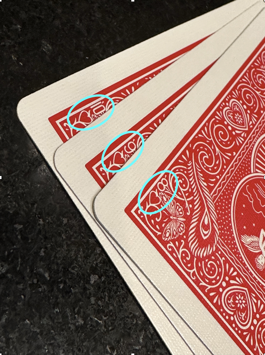 Reader Corner Short: Bicycle GT Speedreader Mandolin Back